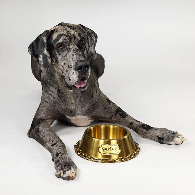 Snoop Doggie Doggs Off The Chain Deluxe Pet Bowl