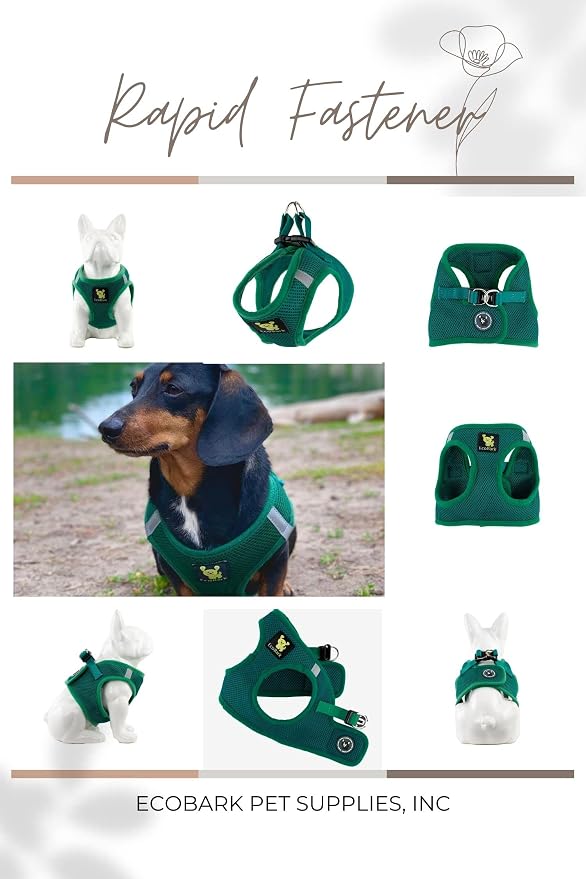 EcoBark Extra Small Dog Harness - Luxury Soft Harness for Puppies & XS Dogs - Mini Step in Vest Body Halter Under 6 lbs (Forest Green, XS)