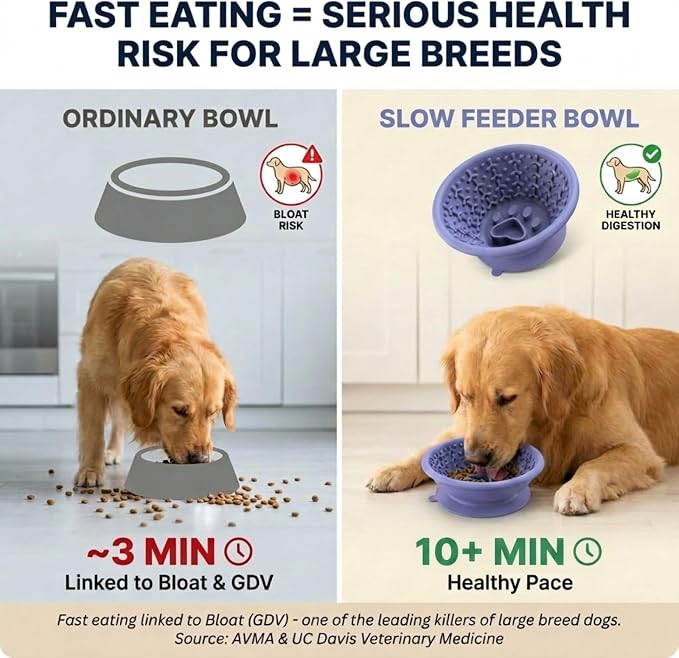 Dog Slow Feeder to Prevent Fast Eating, Dog Lick Bowl with Non-Slip Suction Base, Chew-Resistant Steel Rim & BPA-Free Silicone, Helps Extend Mealtime & Keep Dogs Calm(Purple)