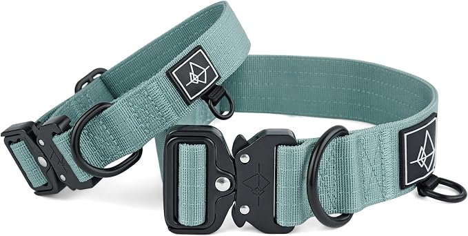 Made to ROAM Premium Dog Collar - Adjustable Heavy Duty Nylon Collar with Quick-Release Metal Buckle (Florida Seaside, Classic Size 2)