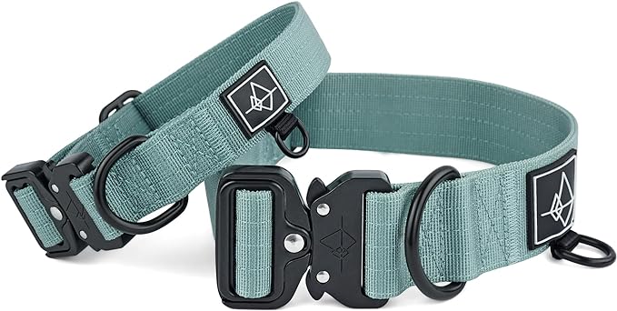 Made to ROAM Premium Dog Collar - Adjustable Heavy Duty Nylon Collar with Quick-Release Metal Buckle (Florida Seaside, Classic Size 3)
