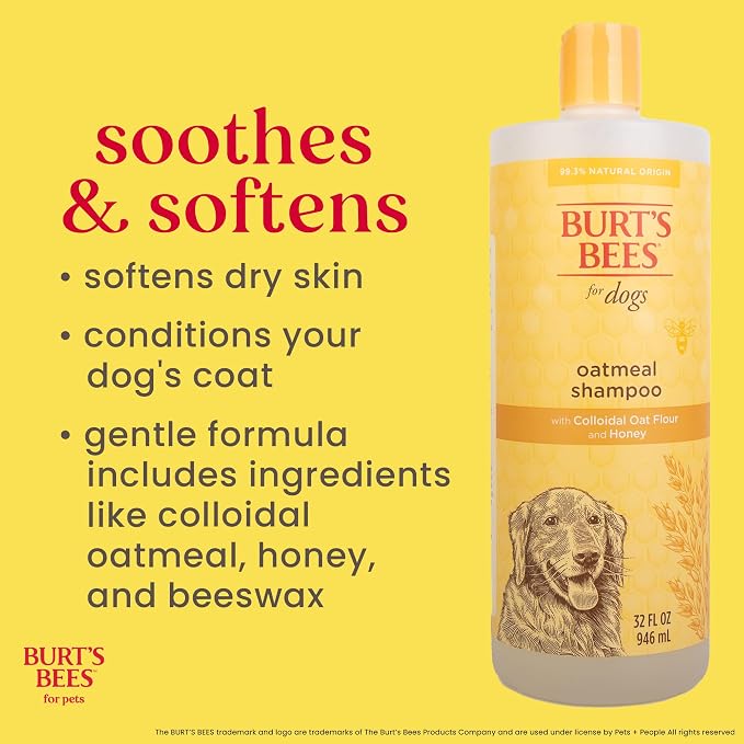 Burts Bees for Pets Oatmeal Dog Shampoo, Honey Scent, 32 Fl Oz Bottle | Colloidal oatmeal and honey, pH-balanced formula, soothing, itchy and sensitive skin