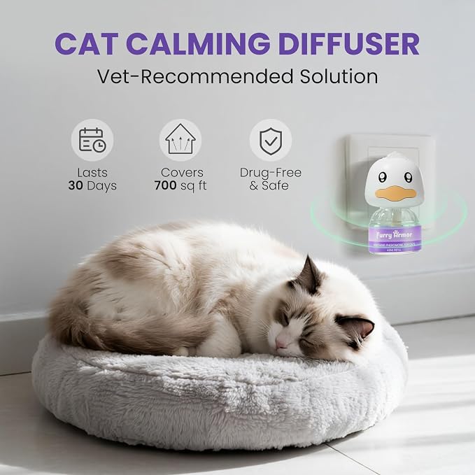 Calming Diffuser for Cats, Multi-Cat Starter Kit | 1 plug-in + 48ml refill, reduces scratching, meowing, hiding, urine marking, odorless, safe low-heat