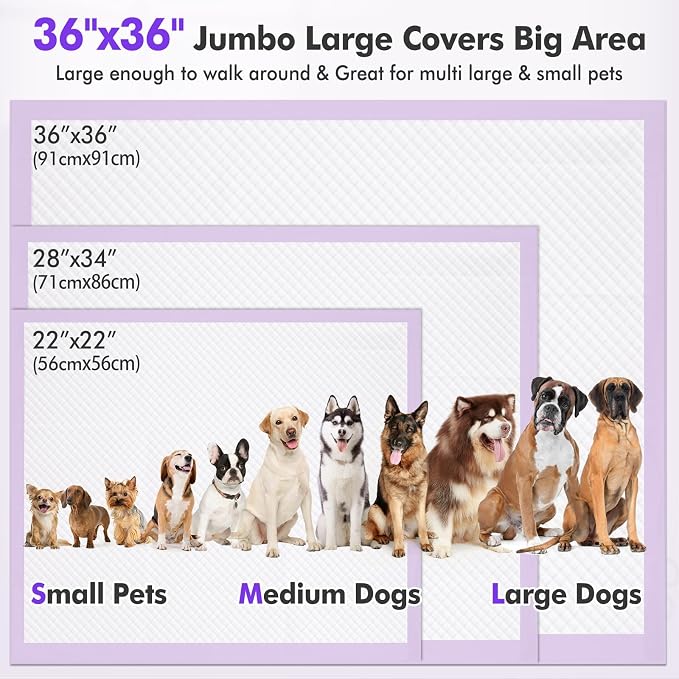 Gimars 36x36 XXXL Lavender Scented Ultra Absorbent 6-Layer Dog Pee Pads Extra Large, Leakproof Puppy Training Pads Quick-Dry Wee Wee Pee Pads for Dogs, Perfect for Puppies, Adult Senior Dogs