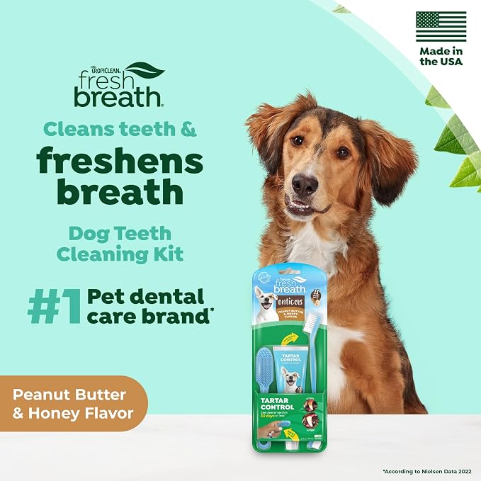 TropiClean Fresh Breath Oral Care Kit - Soft Bristle Finger Toothbrush - Dog Tooth Brushing Kit - Peanut Butter and Honey Flavor Dog Toothpaste