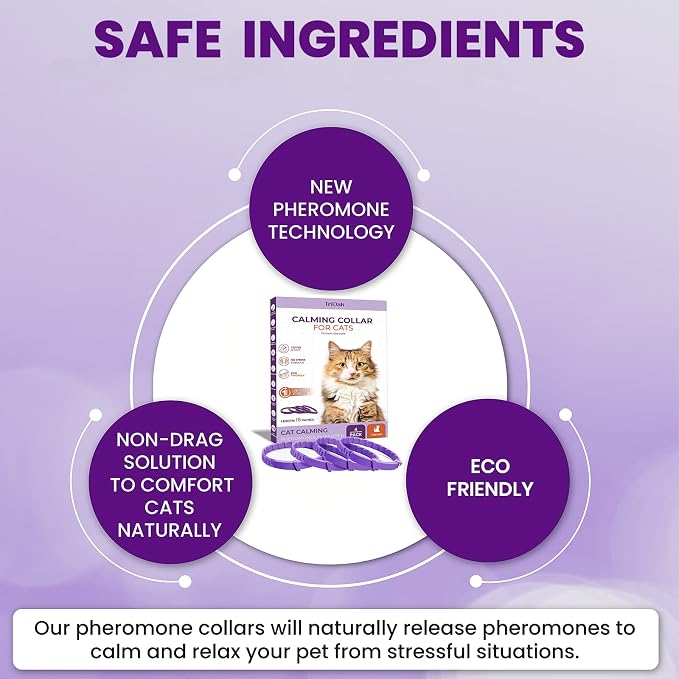 Pheromone Calming Collar for Cats: Breakaway Cat Calming Collar for Anxiety, Separation Stress, Multicat Aggression, Spraying, Meowing - for Indoor Use, Moving & Travel, 4 Pack (Purple)