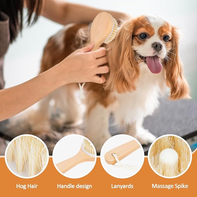 petour Dog Bath Brush Pet Shampoo Handle Bath Brush with Massage Points Dog Grooming/Washing/Massaging Wooden Brush Natural Bristle Dog Brush Removal Loos Hair for Cats Dogs, Beige