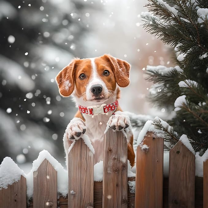 Christmas Dog Collar - Cute Red Snowman Christmas Puppy Collar with Safety Buckle, Soft Adjustable Holiday Dog Collars for Small Medium Large Dogs S