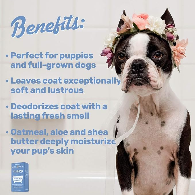 OLIVER'S CHOICE Dog Shampoo with Oatmeal, Aloe & Shea Butter – Deodorizing Puppy Shampoo for Smelly Dogs, Itchy Skin Relief, Paraben-Free, Biodegradable, Cruelty Free – 14 fl. oz | Sensitive skin care, Itch relief, Deodorizing, Aloe, Shea butter, Soft ...
