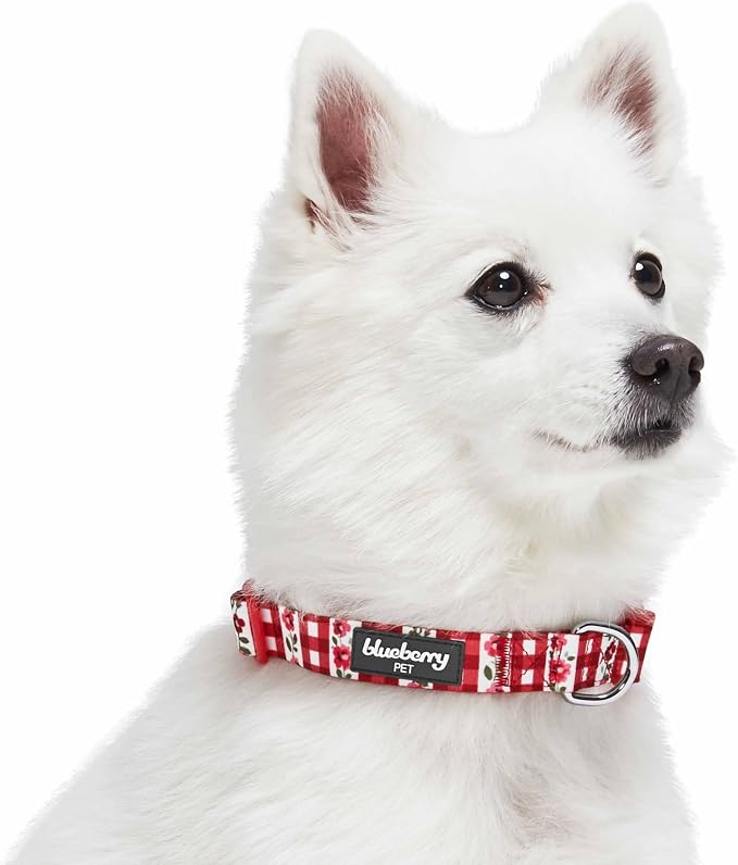 Blueberry Pet Spring Scent Inspired Dainty Flower Dog Collar, Red Check, Adjustable Dog Collar for Medium Dogs, Size Medium, Neck 14.5-20"