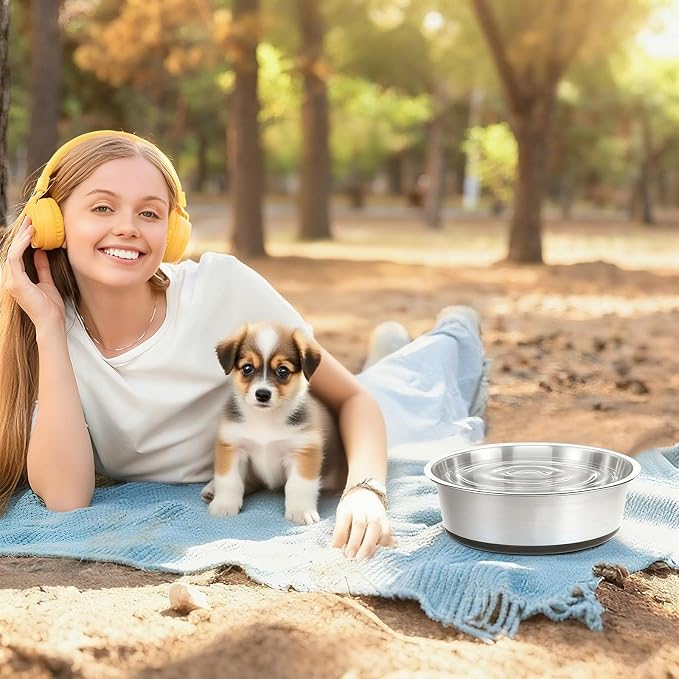 Stainless Steel Dog Bowls Set of 2, Extra Thick Metal Bowls, with Non-Slip Rubber Base Dog Bowl, BPA Free, Holds 2 Cups(16 fl oz), for Small Dogs & Cats, Black