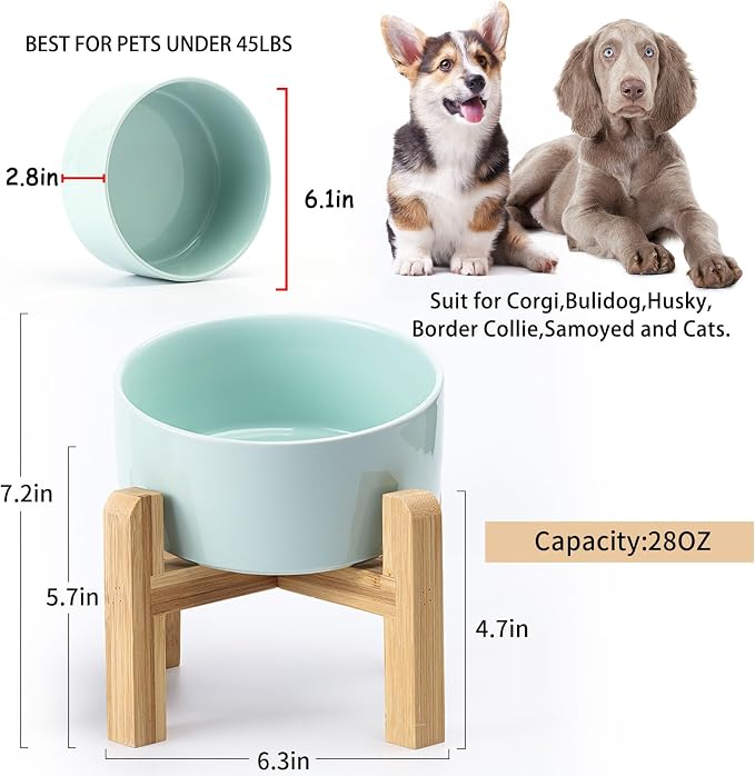 Petygooing Elevated/Raised 15°Slanted Ceramic Dog Bowl for Small and Medium Breeds, Tilted Anti Slip Pet Bowl,Food Water Dish with Stand for Cats and Dogs (28 OZ/3.6 Cups) Blue Sky