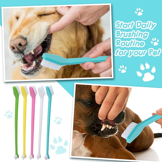 Newday 50 Pack Dual Ended Long Dog & Cat Toothbrush, Pet Safe Super Soft Bristles for Pet Dog Puppy Kitten Dental & Oral Care Teeth & Gums, Pet toothbrushes in Box, Bulk Individual polybag (Colorful)