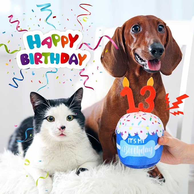 Dansydaisy Dog Birthday Cake Toy Squeaky Plush Toy for Girl Boy Gifts, Chew Accessories for Dog Birthday Party Decor Favor for Large, Medium and Small Dogs(13th,Blue)