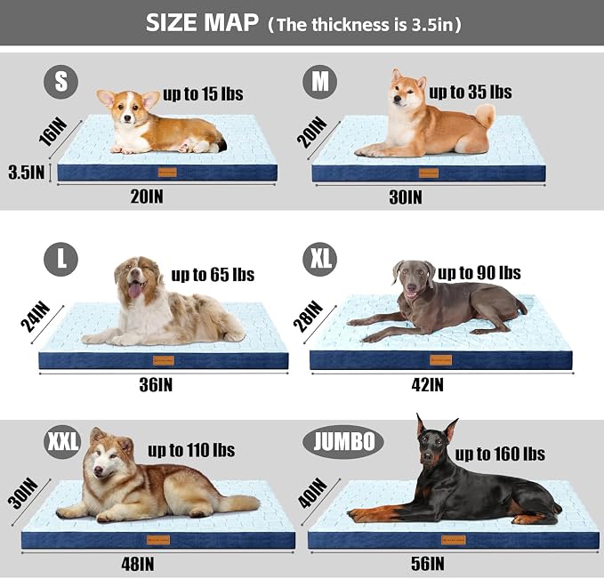 Patas Lague Orthopedic Large Dog Bed Washable Pet Crate Mat 36''X24'' Blue | Egg-Crate Foam Dog Couch For Large Sized Dogs, Waterproof Removable Cover, Soft Pet Bed With Nonskid Bottom