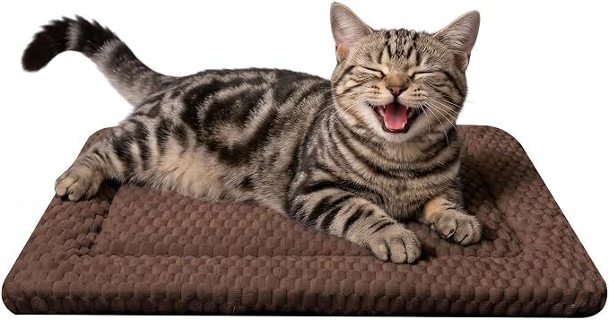Cat Bed Mat - Durable & Cute Crate Beds for Extra Small Dogs & Cats, Comfortable Kennel Pad for Home, Crate & Travel
