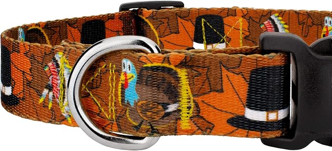 Country Brook Petz - Thanksgiving Tradition Everyday Dog Collar - Made in The U.S.A. - Awesome Autumn Collection Featuring Designs You Will Fall for (1/2 Inch, Extra Small)