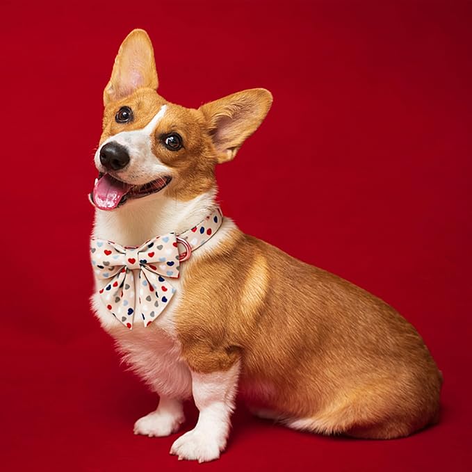 DOGWONG Dog Bow Collar Valentine's Day Dog Collar -Hearts Print Dog Collar with Bowtie Spring Dog Collars Pet Collar Bows Cute Collars,L