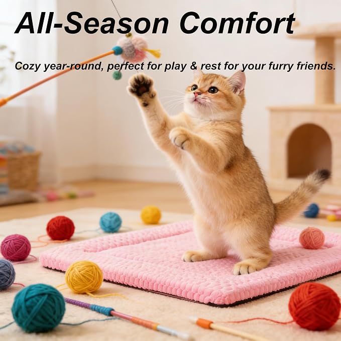 Cat Bed Mat - Durable & Cute Crate Beds for Extra Small Dogs & Cats, Comfortable Kennel Pad for Home, Crate & Travel
