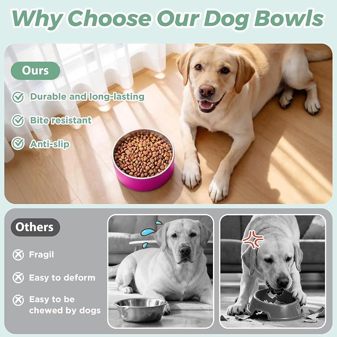LIHONG Stainless Steel Dog Bowls for Small Medium Sized Dogs Non Slip,Insulated Dog Bowl,Pet Bowl for Food and Water,Rustproof(40oz,Pitaya Pink)