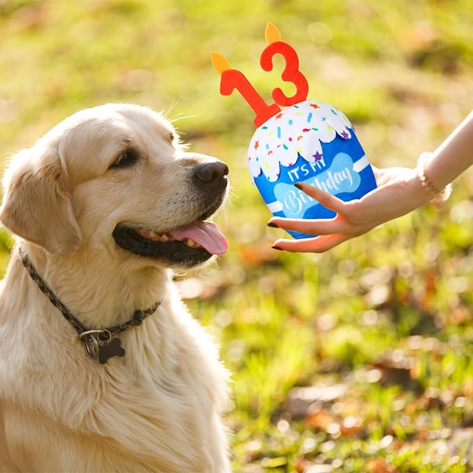 Dansydaisy Dog Birthday Cake Toy Squeaky Plush Toy for Girl Boy Gifts, Chew Accessories for Dog Birthday Party Decor Favor for Large, Medium and Small Dogs(13th,Blue)