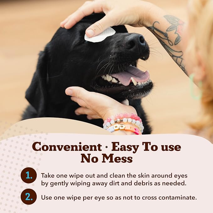 Natural Dog Company Dog Eye Wipes for Tear Stains & Eye Discharge, 100 Count – Gentle Eye Cleaning Wipes for Dogs with Aloe Vera & Witch Hazel, Removes Buildup & Eyes Gunk