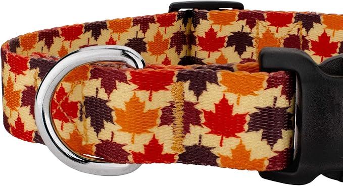 Country Brook Petz - Nature Walk Everyday Dog Collar Limited Edition - Made in The U.S.A. - Awesome Autumn Collection Featuring Design You Will Fall for (1 Inch, Extra Large)