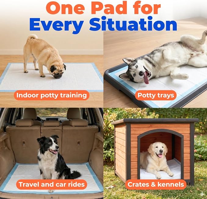 Best Pet Supplies XL (36 x 28 Inches) Puppy Pads 100 Count - Super Absorbent Dog Training Pads, Quick-Dry, Odor Control, Disposable Pee Pads, Leak-Proof Wee Wee Pads for Indoor Dogs – Baby Blue