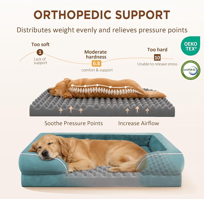 Comfort Expression Orthopedic Dog Beds for Large Sized Dog with Bolster | Waterproof Dog Couch Bed with Washable Cover & Non-Slip Bottom, Supportive Egg Crate Foam Large Pet Bed, 38x25 Inch