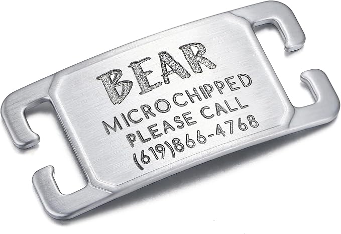 Rugged & Refined: Immovable Slide-On Pet ID Tag - Silent No-Noise Design - Deep Laser Engraved Horology-Grade Steel - Small | Brushed Stainless Steel