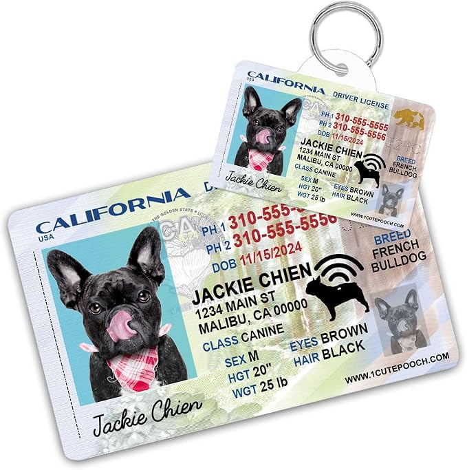 California Driver License Custom Dog Tag for Pets and Wallet Card - Personalized Pet ID Tags - Dog Tags for Dogs - Dog ID Tag - Personalized Dog ID Tags - Cat ID Tags - Pet ID Tags for Cats