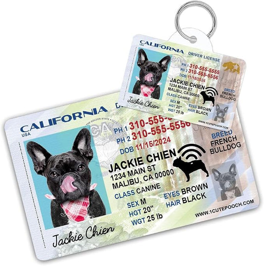 California Driver License Custom Dog Tag for Pets and Wallet Card - Personalized Pet ID Tags - Dog Tags for Dogs - Dog ID Tag - Personalized Dog ID Tags - Cat ID Tags - Pet ID Tags for Cats