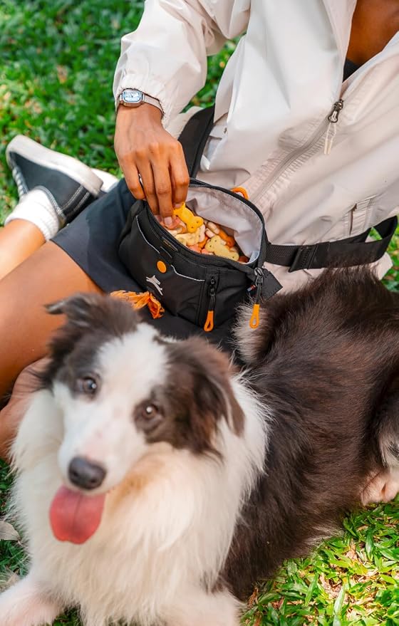Backcountry Day Bag | Hands-Free Dog Training Treat Pouch | Fanny/Hip Pack with Zipper Closure & Built-in Poop Bag Dispenser | Removable Waist Clip (Raven S'25)