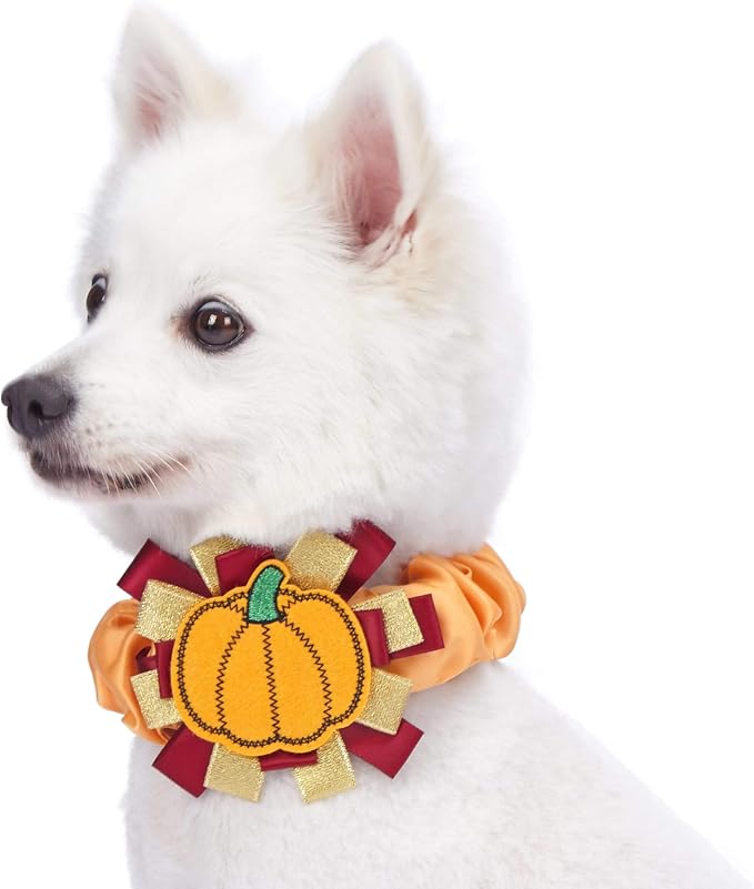 Blueberry Pet Thanksgiving Fall Charm Pumpkin Dog Collar Cover, Festive Accessory for Small to Large Dog Collars, Perfect for Dog Lovers & Family Photos, Puppy Collar Enthusiasts