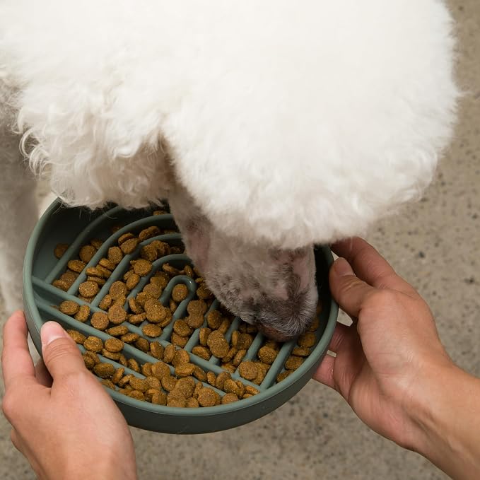 Should We Go? Slow Feeder Dog Bowls - Medium Size Silicone Slow Eating Dog Bowl for Puppies & Dogs with Suction Cup -Dishwasher-Safe, Lick Mat Design, Reduces Gulping,for All Breeds,7.5”x1.5”- Spruce