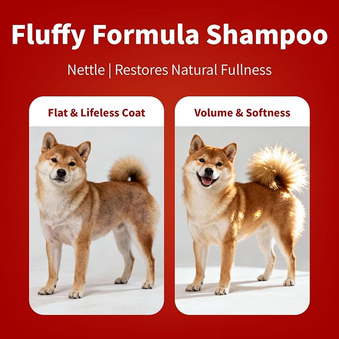 Arf Arf Volumizing Dog Shampoo for Pomeranians, Poodles & Yorkies – Fluffy Coat Shampoo with Oatmeal – Adds Body & Volume for Thick Double Coat – Shih Tzu & Bichon – 16oz