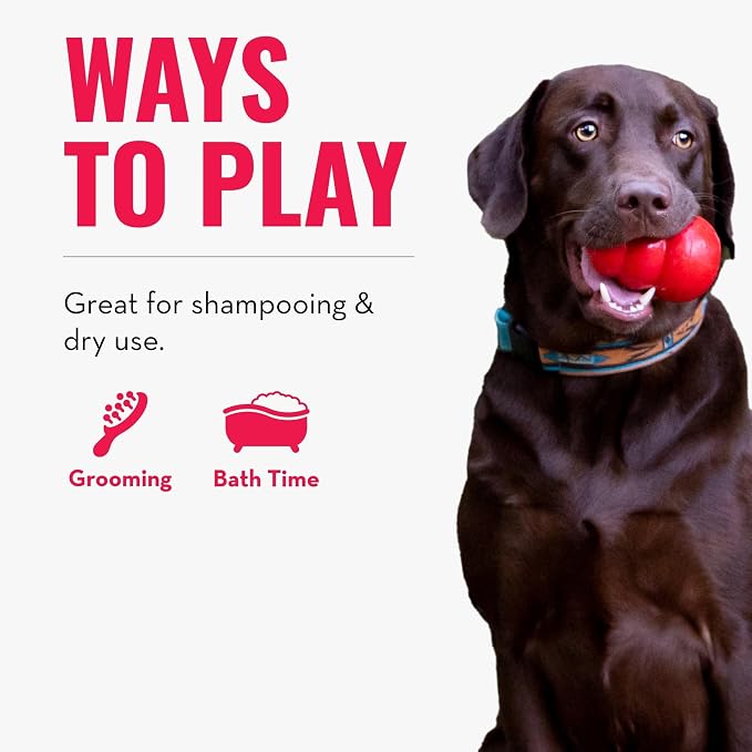 KONG - ZoomGroom - Dog Brush for Grooming and Shampooing - Red Brush for Large Dogs
