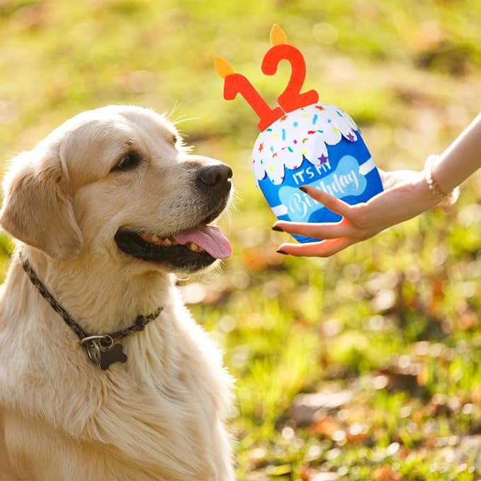 Dansydaisy Dog Birthday Cake Toy Squeaky Plush Toy for Girl Boy Gifts, Chew Accessories for Dog Birthday Party Decor Favor for Large, Medium and Small Dogs(12th,Blue)