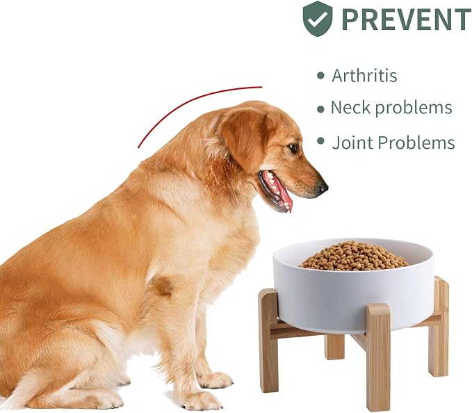 White Raised/Elevated Ceramic Dog Bowl for Small Medium Sized Breeds,Dog Food Water Bowl with Stand,6 in Non Slip Heavy Pet Feeding Dish 3.6 Cups/ 850 ml /28 OZ