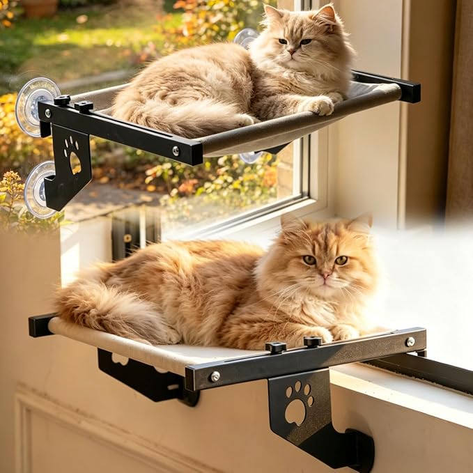 NFMOD 2-in-1 Suction & Hook Cat Window Perch Metal Hammock for Large Cat | heavy metal frame holds 30lbs,no-drill damage-free setup,wide sunbathing platform,detachable machine washable fabric cushion