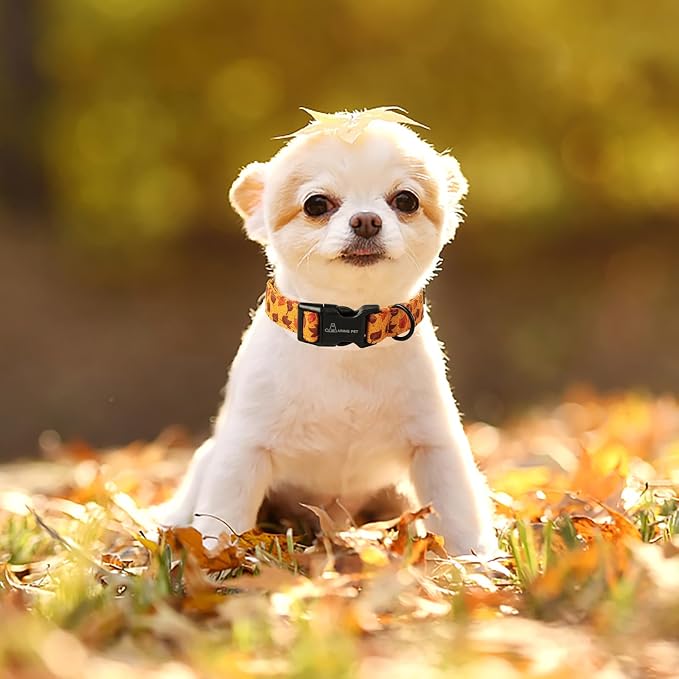 ARING PET Fall Dog Collar, Cute Autumn Maple Leaves Cotton Lightweight Pet Collars with Quick Release Buckle for Puppy Small Medium Large Boy Girl Dogs-M