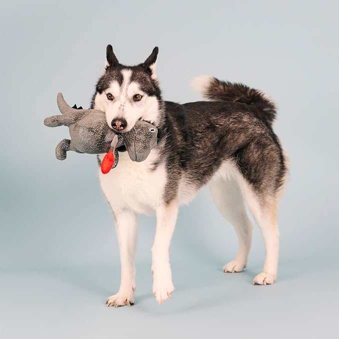 Fringe Studio Plush Dog Toy, Rocker Rex, Pet Shop Collection (314214)