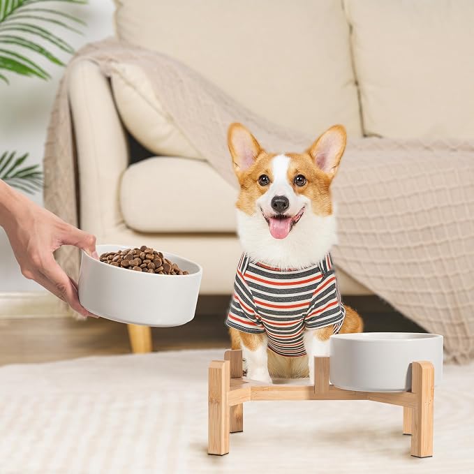 PTOBER Elevated Ceramic Dog Bowl Set - Double Feeding Bowls with Non-Slip Bamboo Stand - Raised Dog Dishes for Food and Water - Ideal for Small to Medium Breeds - 3.6 Cups