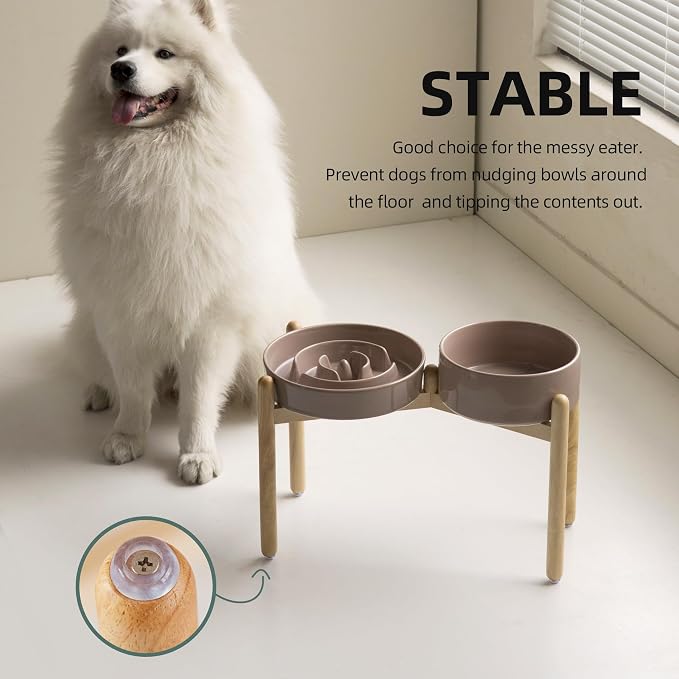 Havniva 9.5” Raised Slow Feeder Dog Bowls Set, 3.2 Cups Ceramic Slow Feeder Dog Bowl and 8.2” Dog Water Bowl with Elevated Wooden Stand Puzzle Dog Food Bowl for Large Dogs Anti-Gulping & Anti-Choking
