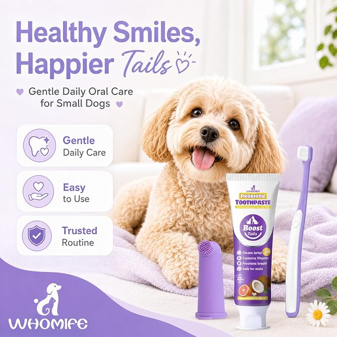 Small Dog Toothbrush Kit, 2.5oz Toothpaste & Finger Brush | Gentle Small Dog Care. Soft Brush Comfort. Finger-Fit Control. Coconut Chicken Flavor. Daily Routine.