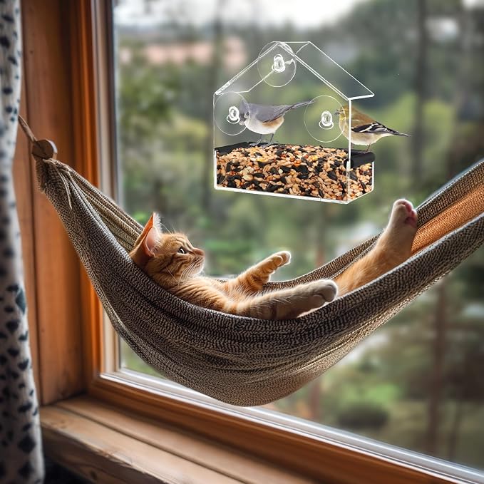 MEWTOGO Outdoor Window Bird Feeder for Cats Viewing, Small | Clear Bird Feeder with Strong Suction Cup, Cat Perch Accessories for Entertaining Watching