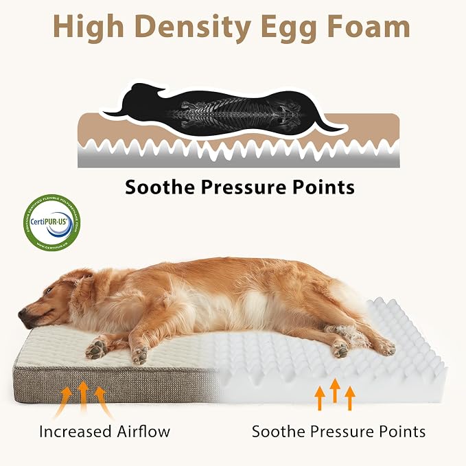 JOEJOY Orthopedic Medium Dog Bed, Washable Dog Crate Bed Medium Sized with Removable Cover, Egg Memory Foam Pet Beds, Beige, 29"x18"