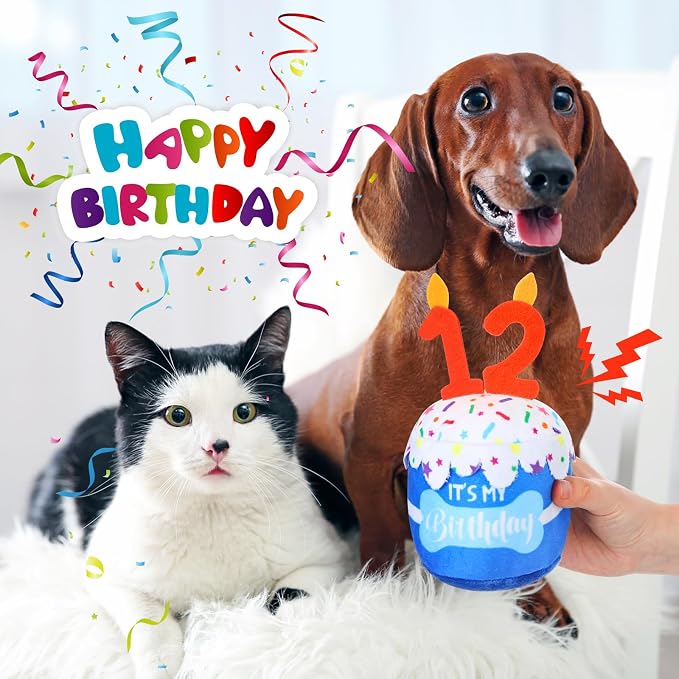 Dansydaisy Dog Birthday Cake Toy Squeaky Plush Toy for Girl Boy Gifts, Chew Accessories for Dog Birthday Party Decor Favor for Large, Medium and Small Dogs(12th,Blue)