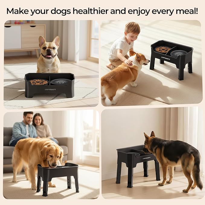 URPOWER Mess Proof Elevated Dog Bowls 4 Height Adjustable Raised Stand with No Spill Water Bowl and Slow Feeder Dog Bowls Non-Slip Food and Water Bowl Set for Small, Medium & Large Dogs