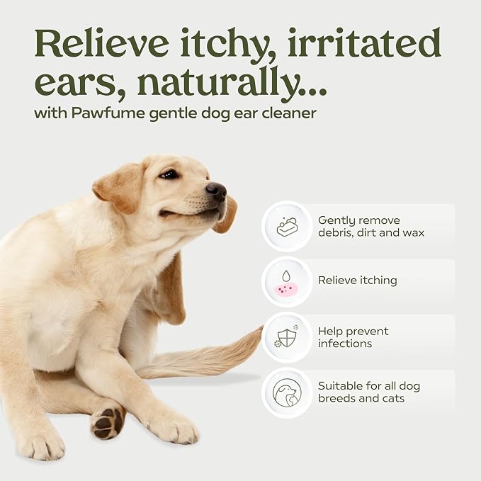 Pawfume Dog Ear Cleaner Solution, 4-Pack | Soothe itchy ears with St. John’s Wort & almond extracts, vet-certified, alcohol-free Dog Ear Wash for all breeds